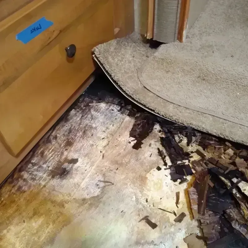 Wood Floor Water Damage in Hartford, MI